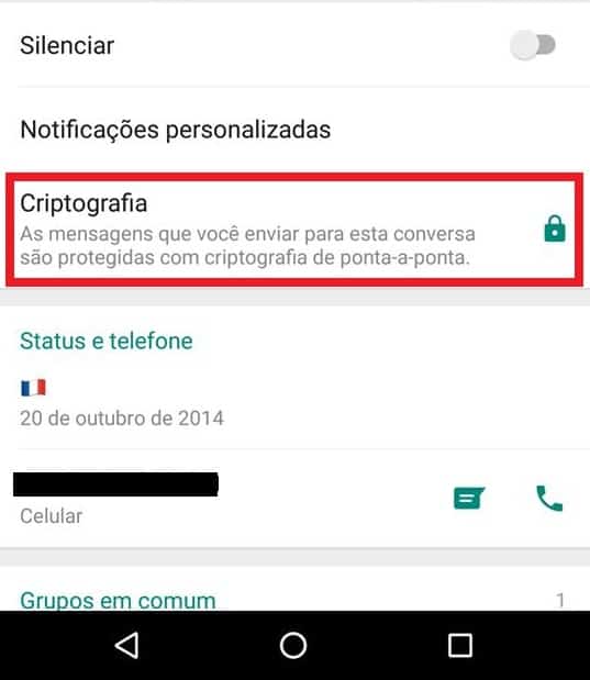 Como confirmar a criptografia do WhatsApp   AppTuts - 83