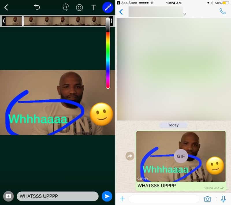 Como enviar GIFs no WhatsApp para iPhone   AppTuts - 90