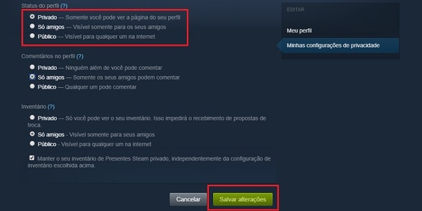 Como mudar seu perfil do Steam para uma conta privada   Apptuts - 9