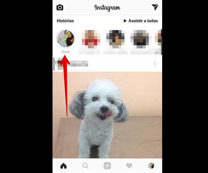 Como colocar GIF nas Stories do Instagram   AppTuts - 32