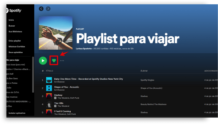 Spotify  tudo o que voc  precisa saber - 28