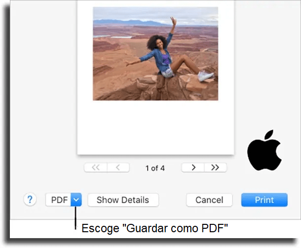 Las 8 mejores apps para convertir fotos en PDF - 29