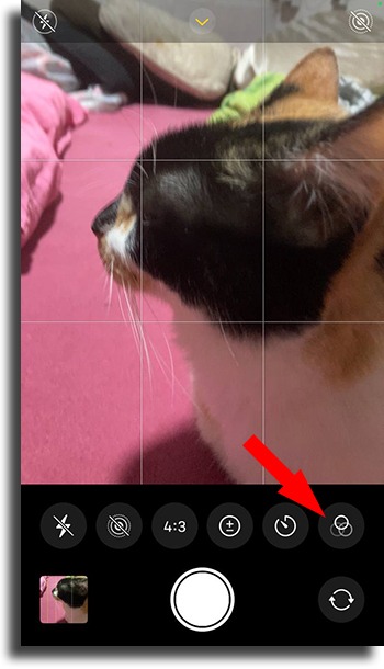 10 tips on how to take perfect pictures on your iPhone    AppTuts - 2