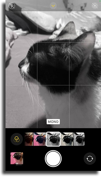 10 tips on how to take perfect pictures on your iPhone    AppTuts - 43